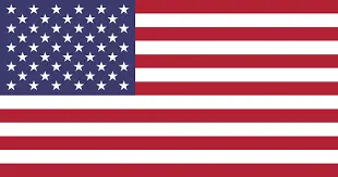 american flag-Vista